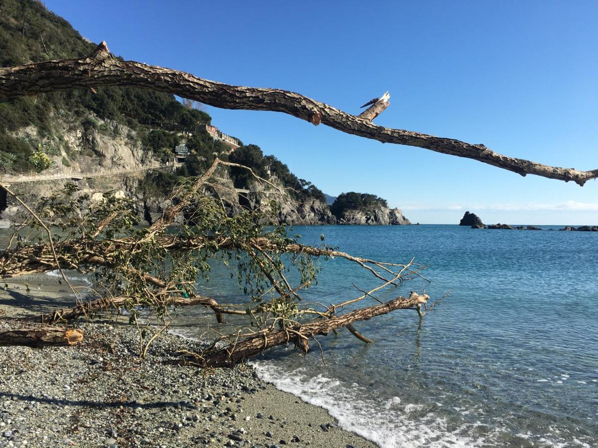 Le Cinque Vele ***** Cinque Terre Apartman Monterosso al Mare Kültér fotó