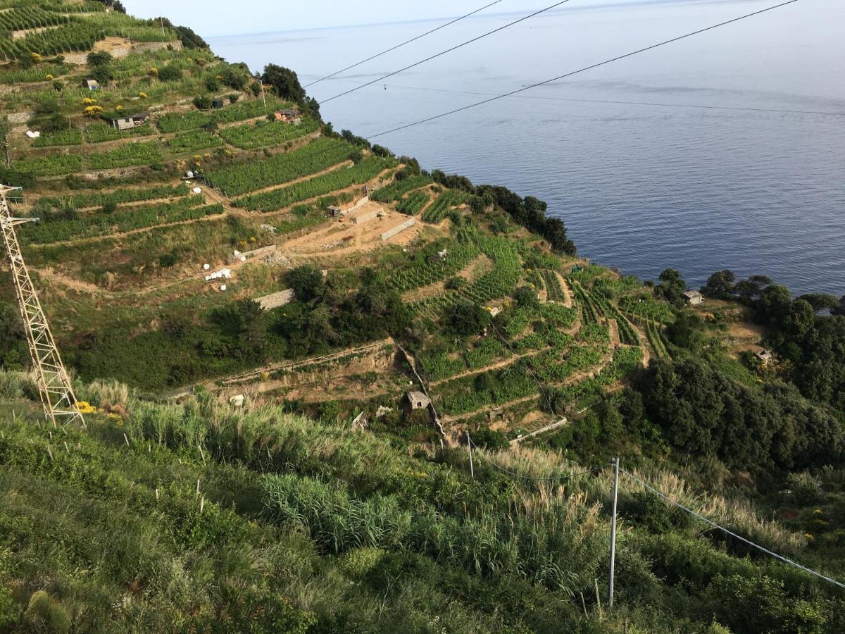 Le Cinque Vele ***** Cinque Terre Apartman Monterosso al Mare Kültér fotó